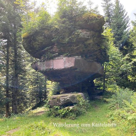 3- 2-1 - Raum - Ferienappartements Dieter Hoffmann Freudenstadt-Kniebis Beim Nationalpark Esterno foto