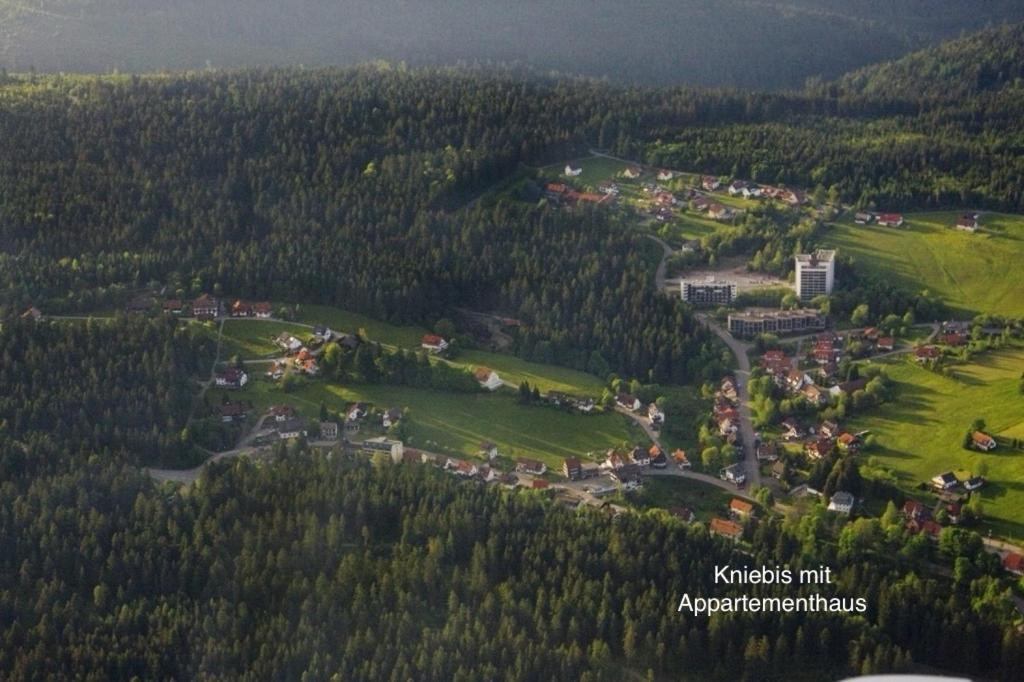 3- 2-1 - Raum - Ferienappartements Dieter Hoffmann Freudenstadt-Kniebis Beim Nationalpark Esterno foto