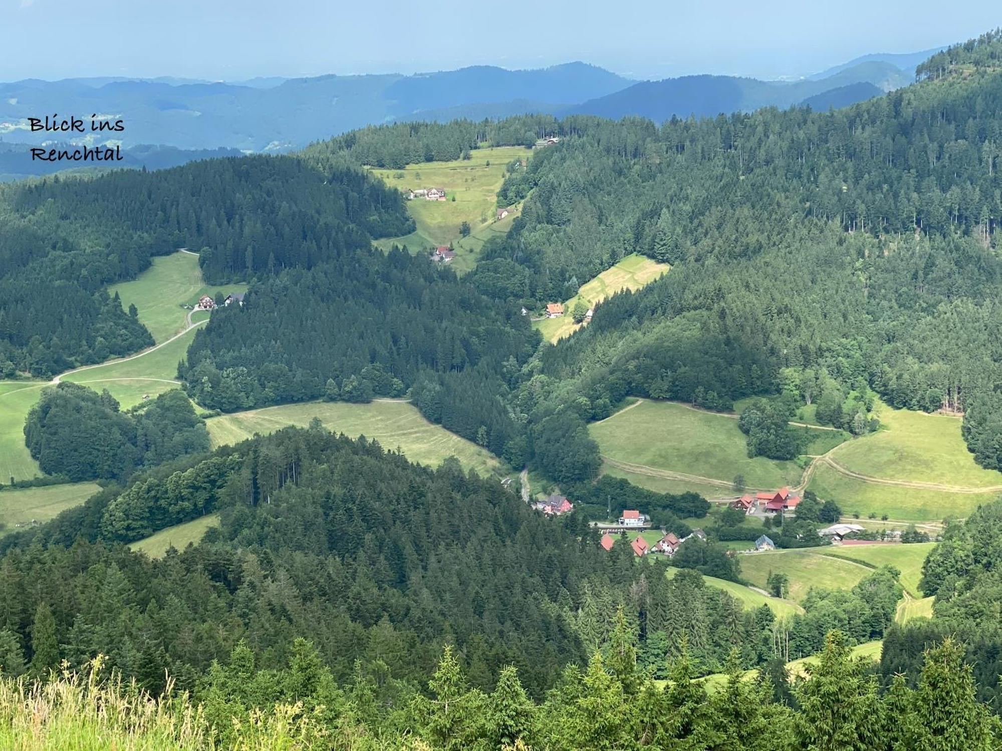 3- 2-1 - Raum - Ferienappartements Dieter Hoffmann Freudenstadt-Kniebis Beim Nationalpark Esterno foto