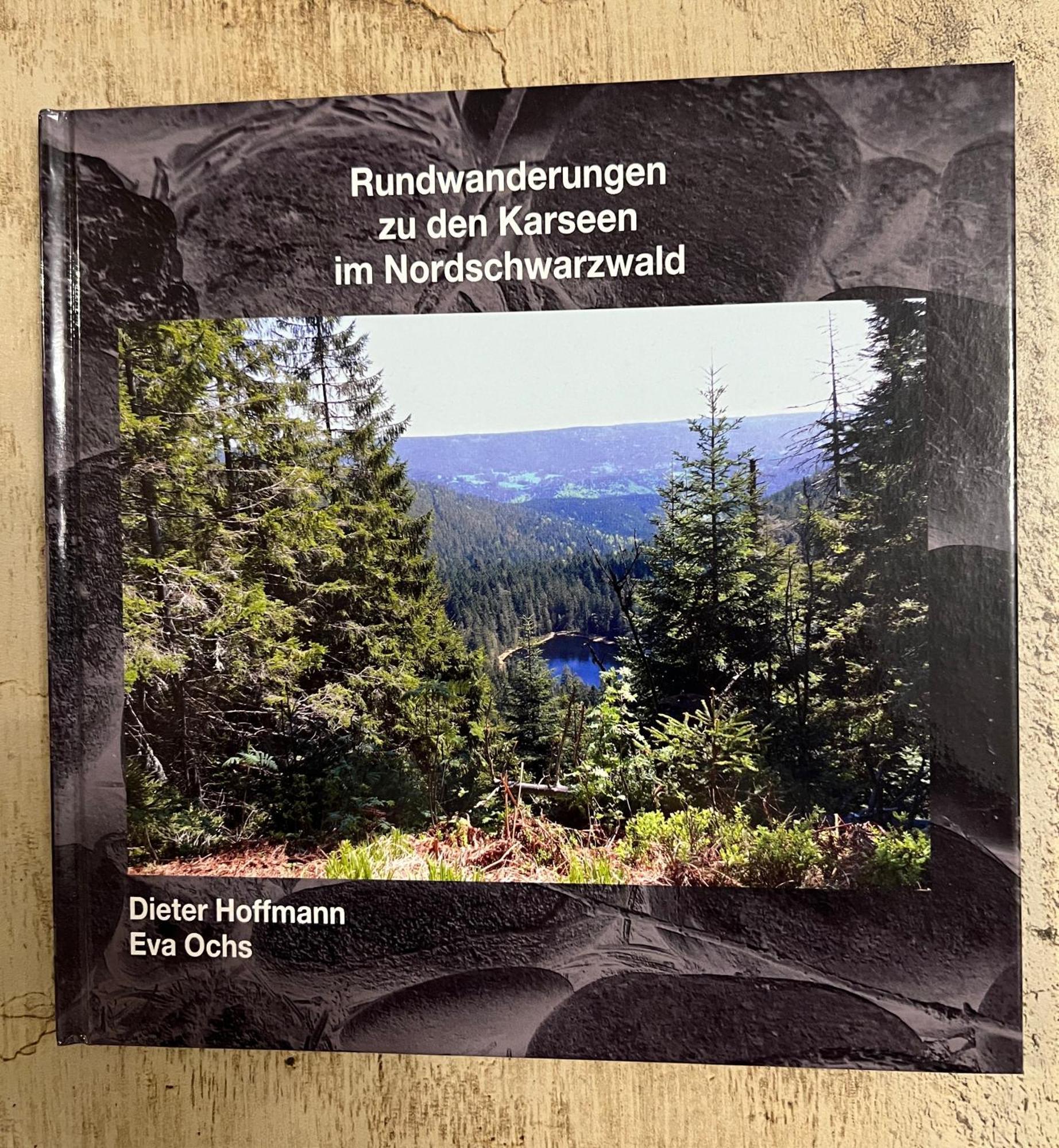3- 2-1 - Raum - Ferienappartements Dieter Hoffmann Freudenstadt-Kniebis Beim Nationalpark Esterno foto