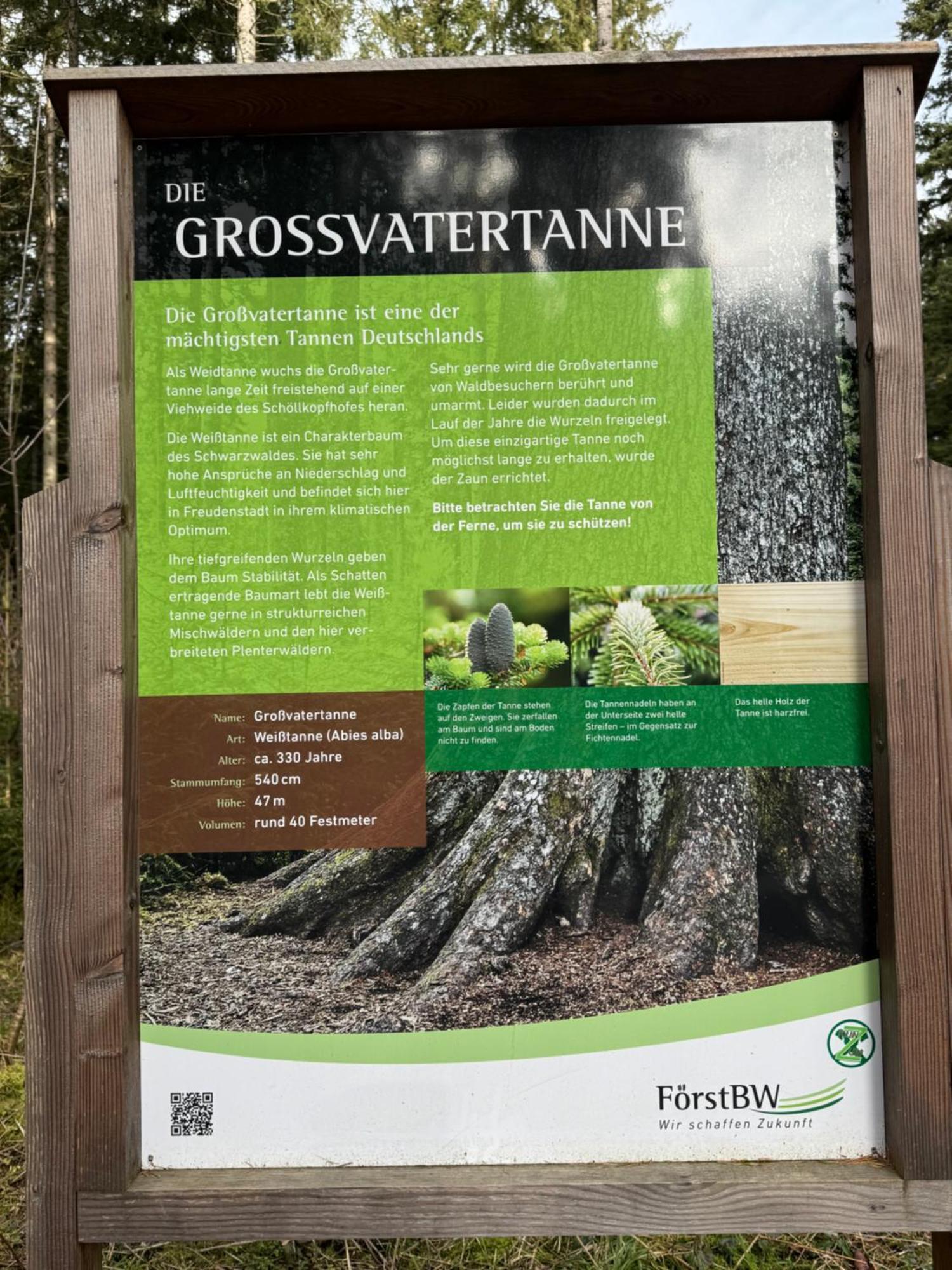 3- 2-1 - Raum - Ferienappartements Dieter Hoffmann Freudenstadt-Kniebis Beim Nationalpark Esterno foto